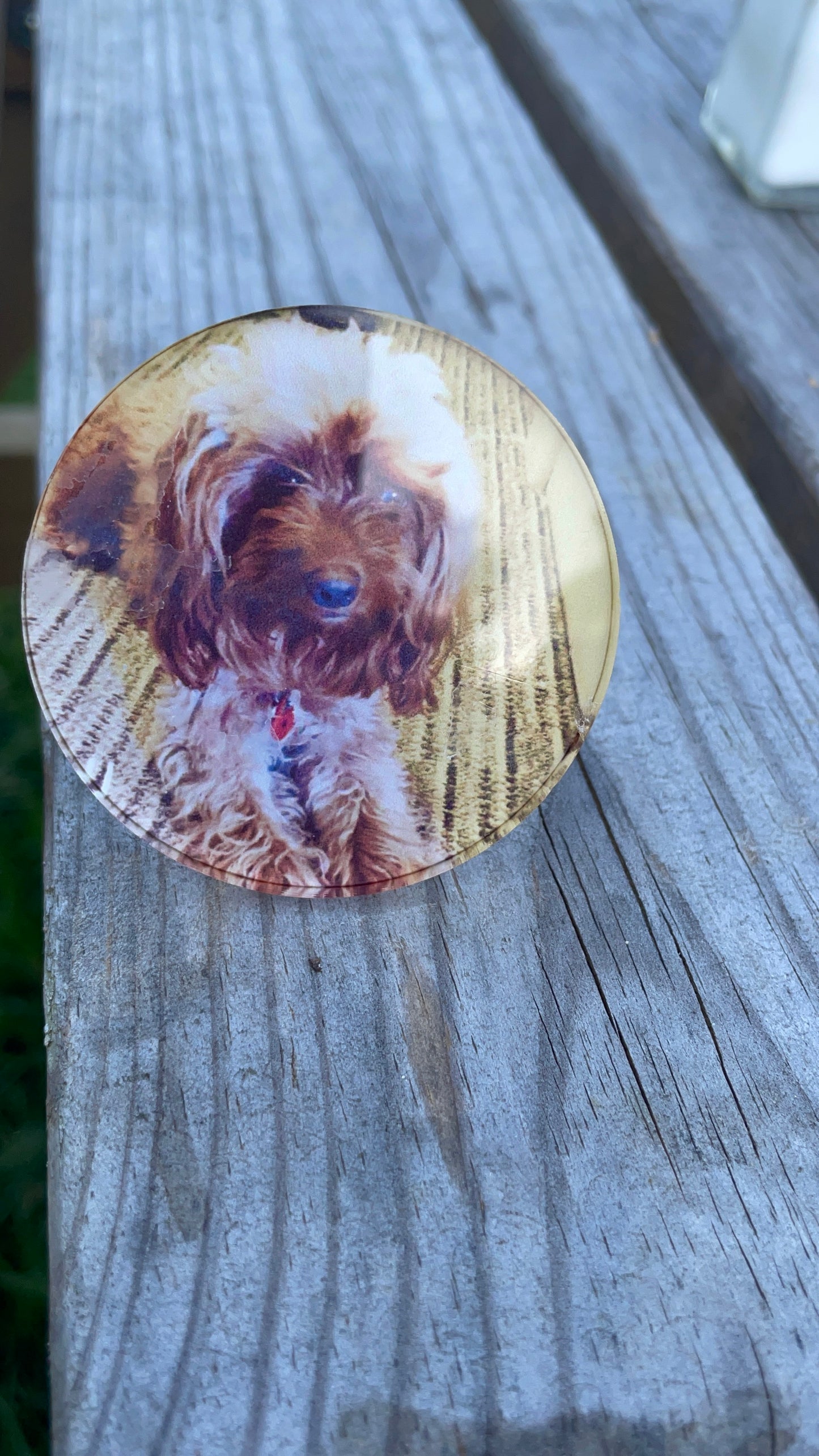 Photo Air Freshener
